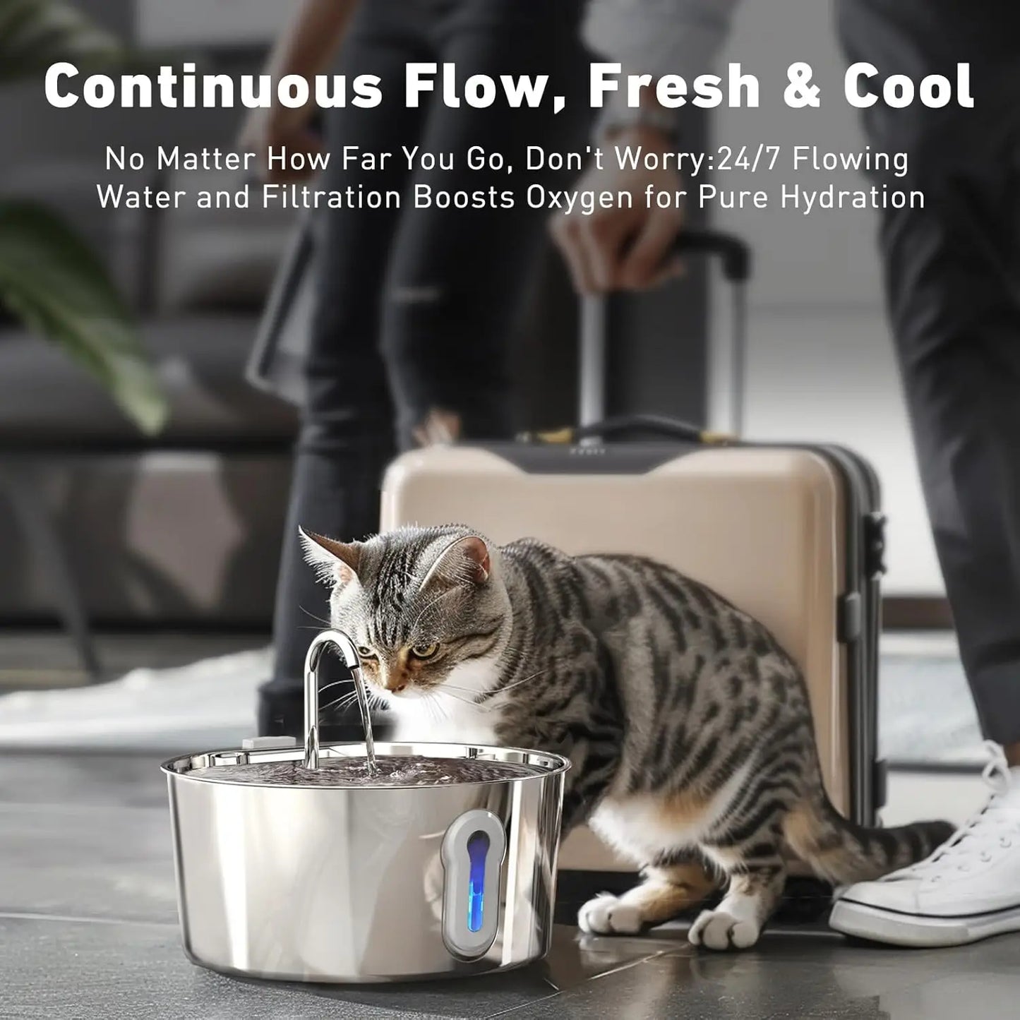 Haz que tu mascota beba más agua con esta fuente metálica 4L 💧