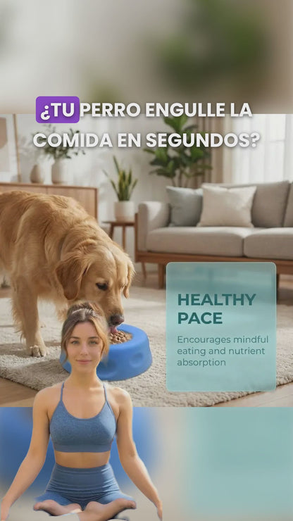 Reduce ansiedad y evita que tu perro coma rápido 🐶✨